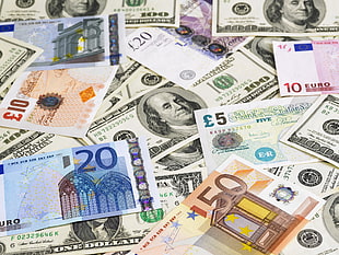 assorted banknotes, money, paper, currency, euros