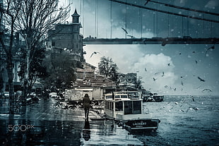 view of bridge and flight of birds, photography, Istanbul, Turkey, Bosphorus