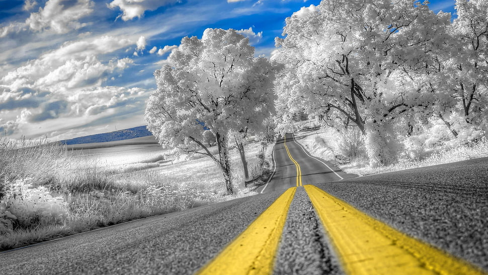 asphalt road, landscape, road, sky, clouds HD wallpaper