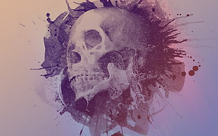 skull wallpaper, skull, abstract, artwork