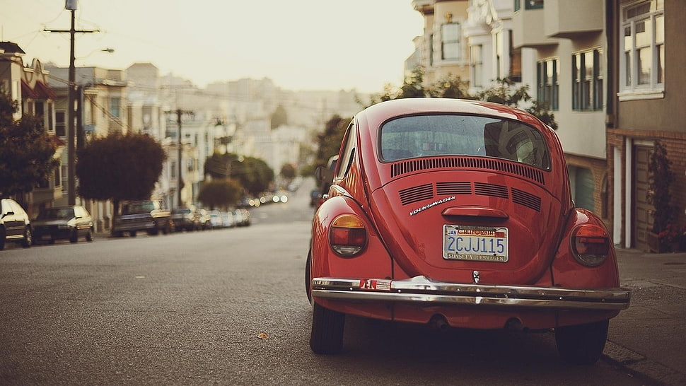red Volkswagen Classic Beetle parked on road HD wallpaper