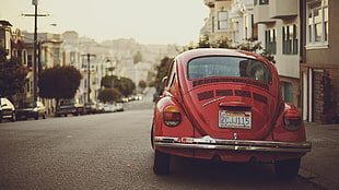 red Volkswagen Classic Beetle parked on road