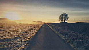 brown and black wooden bed frame, landscape, road