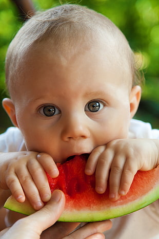 selective focus photography of Baby eating watermelon HD wallpaper