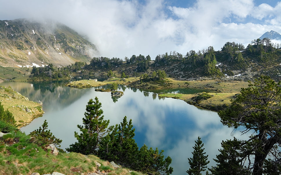 calm lake near mountain and forest HD wallpaper