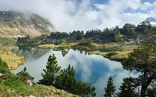 calm lake near mountain and forest