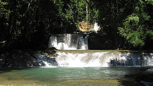 waterfall and trees, Jamaica, waterfall HD wallpaper