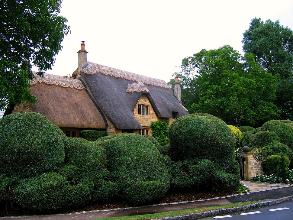 green topiary trees HD wallpaper