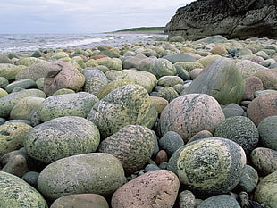 gray and green stones near body of water
