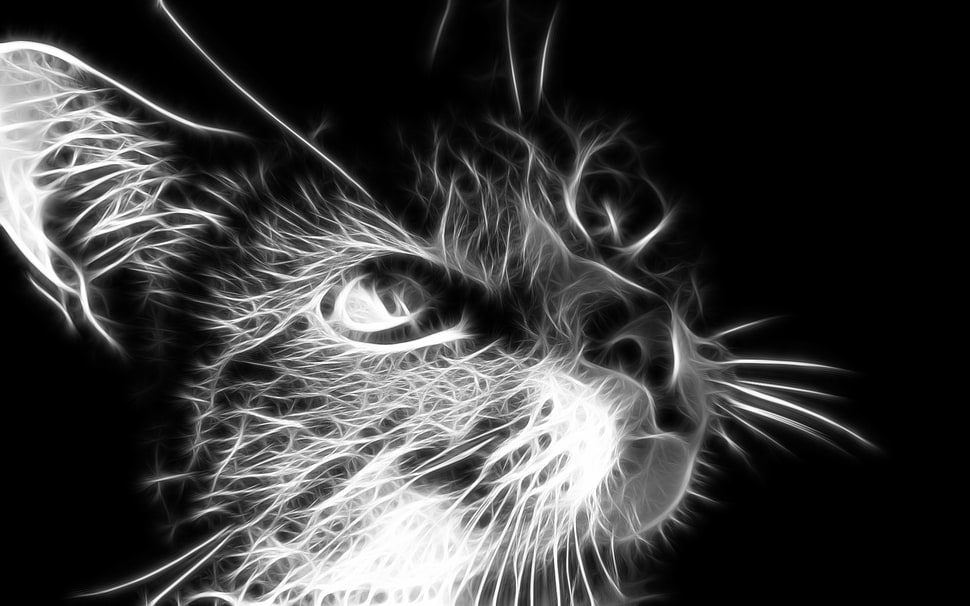 gray cat illustration, Fractalius, cat, monochrome, digital art HD wallpaper