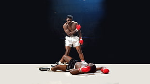 Muhammad Ali, Muhammad Ali, sports, sport  HD wallpaper