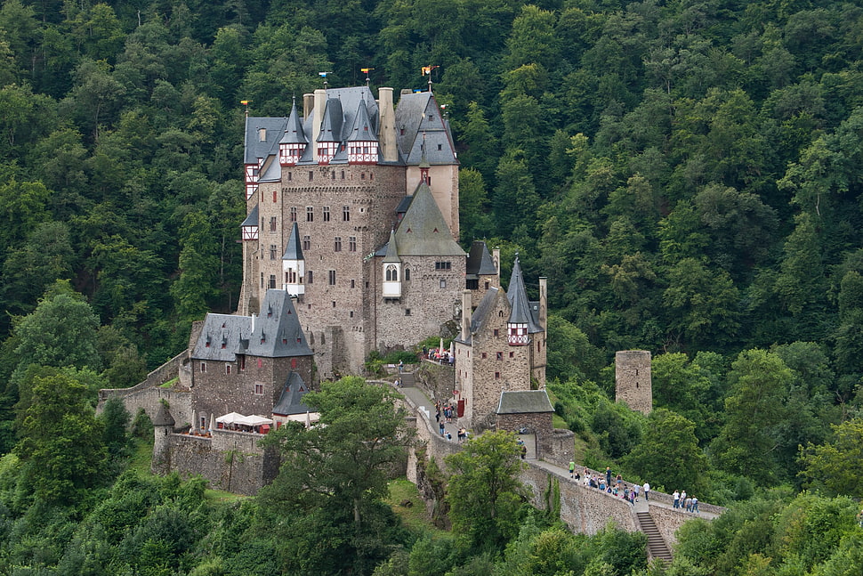 gray and brown castle, castle HD wallpaper