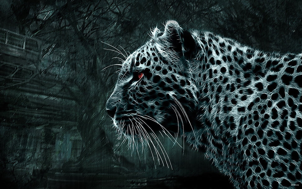 feline in grayscale photography wallpaper, animals, simple background, leopard (animal) HD wallpaper