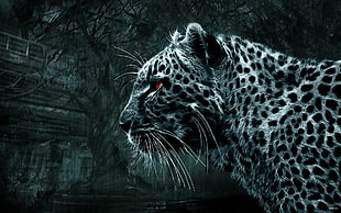 feline in grayscale photography wallpaper, animals, simple background, leopard (animal)