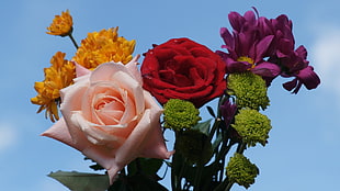 several assorted-color flowers
