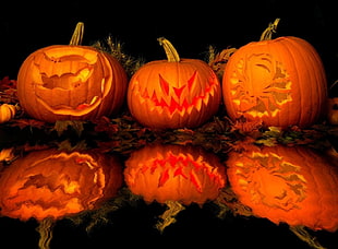 photography of several decorative Jack-o
