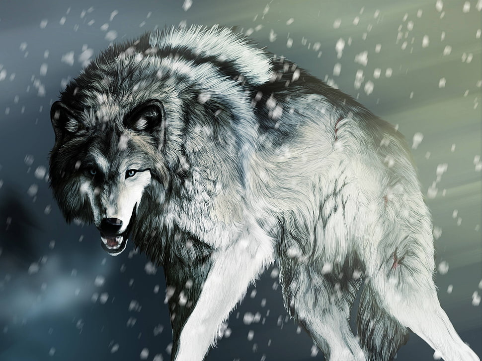 gray wolf digital wallpaper, wolf, artwork, snow, animals HD wallpaper