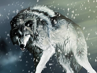 gray wolf digital wallpaper, wolf, artwork, snow, animals