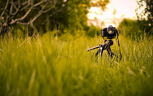 close up photo of camera with stand on green grass field
