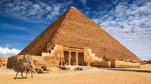 Pyramid of Egypt, pyramid, nature, animals, desert HD wallpaper