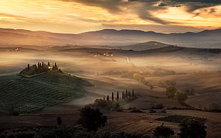 green field, nature, landscape, mist, Tuscany HD wallpaper