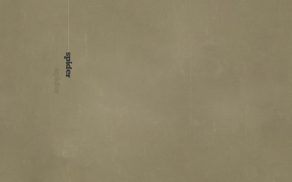 spider text, spider, minimalism HD wallpaper