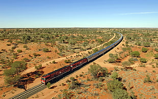 red and gray train, train, diesel locomotive HD wallpaper