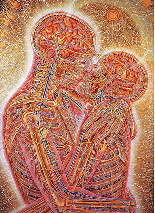 human anatomy, anatomy, couple, kissing HD wallpaper