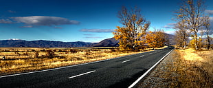 road view during day time HD wallpaper