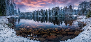 calm lake, nature, landscape, winter, lake HD wallpaper