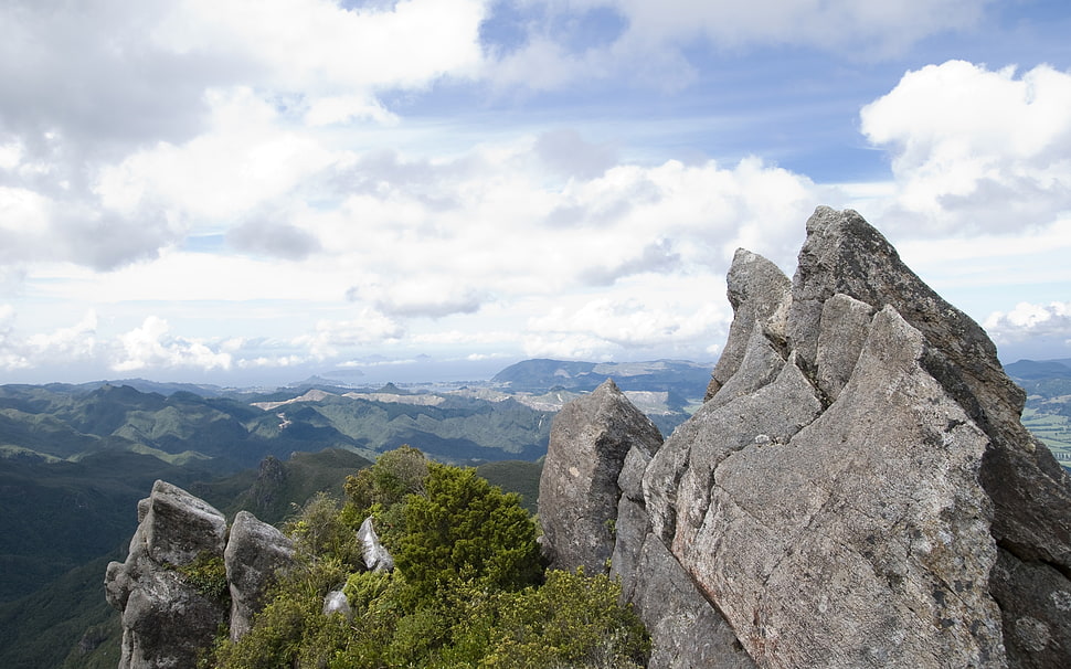 rock formation beside trees HD wallpaper