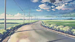 gray road and grass field painting