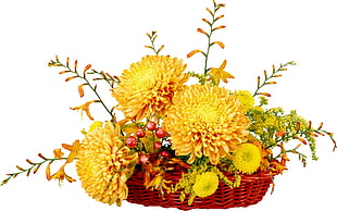 photo of yellow petaled flowers on basket