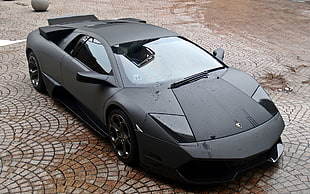 black Lamborghini sport car, Lamborghini, Lamborghini Murcielago, car, vehicle