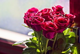 bouquet of roses near window pane