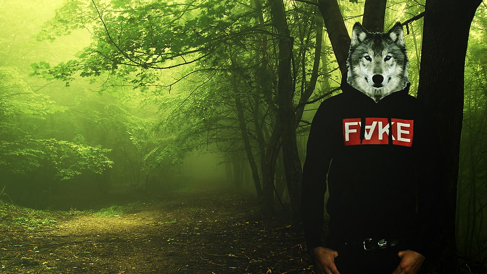 black pullover hoodie, animals, abstract HD wallpaper