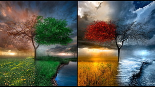 changing weather painting, nature, seasons, collage, trees