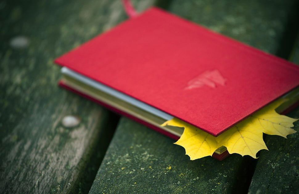 leaf inside book HD wallpaper