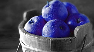 round blue fruits, selective coloring, apples, fruit HD wallpaper