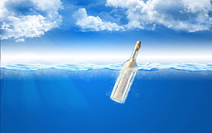 message in a bottle floating on body of water painting, artwork, sea, bottles