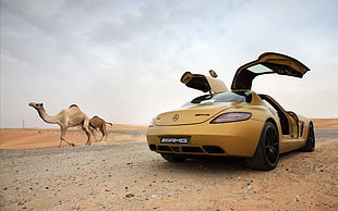yellow Mercedes-Benz AMG gullwing, car, Mercedes-Benz SLS AMG, desert, camels HD wallpaper
