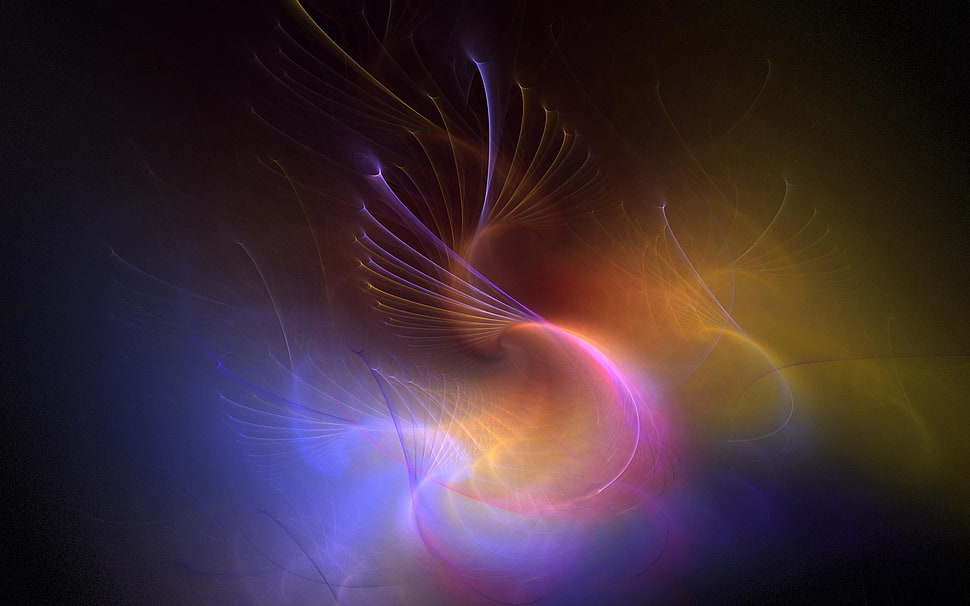 assorted color lights HD wallpaper