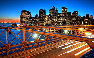 photo of bridge near city buildings during nighttime