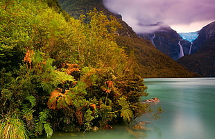 green body of water, mountains, Chile, lake, forest