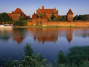 brown concrete castle beside lake during daytime