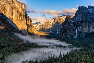 landscape photography of mountains and trees during daytime, yosemite valley HD wallpaper
