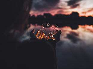 person holding a string light HD wallpaper