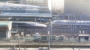 white train, Kimi no Na Wa, Japan, train station HD wallpaper