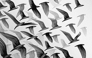 white and black floral textile, monochrome, birds, silhouette, flying
