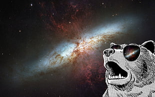 astrophotography of milky way, animals, sunglasses, space art, space